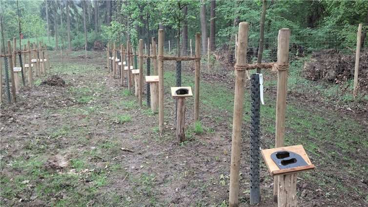 Die Gedenkstätte der „Elterninitiative Krebskranker Kinder Koblenz e.V.“ wurde beschädigt.privat