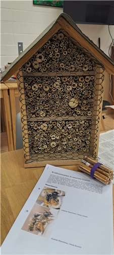 Die Gestaltung von Insektenhotelswar Thema.  Foto: Eva Sobotka