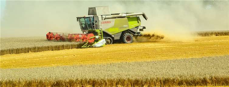 Die Getreideernte in diesem Jahr fällt qualitativ gut aber von der Menge her eher gering aus. Foto: Pixabay