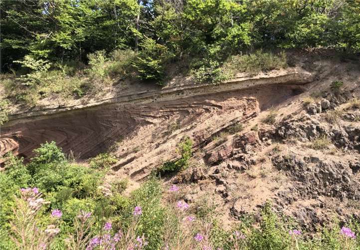 Die Gleeser Gleitfalte ist ein ganz besonderer geologischer Aufschluss.