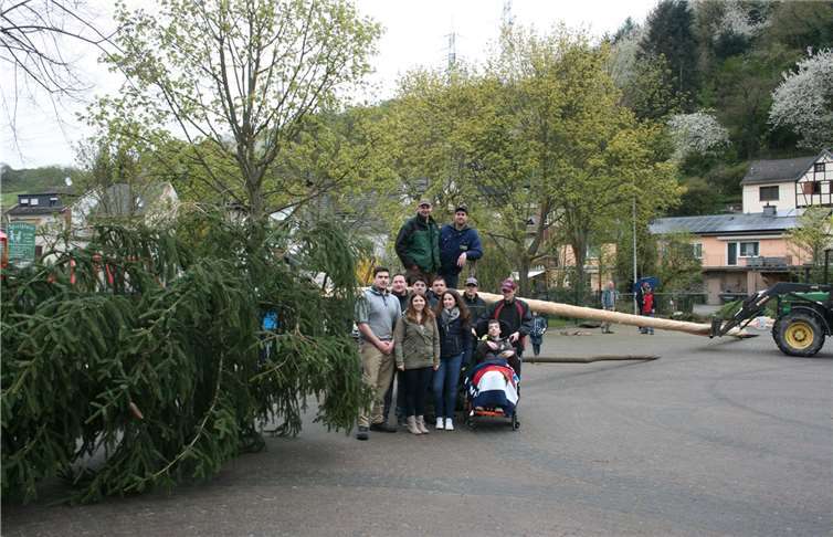 Die Gönnersdorfer Junggesellen haben den prächtigen Maibaum zum Dorfplatz gefahren, wo er anschließend geschmückt und aufgestellt wurde. WER