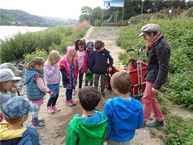Die Goethe-Knirpse erfuhren, welche verschiedenen Gesteinsarten am Rheinufer zu finden sind  Foto: Kita Goethe-Knirpse