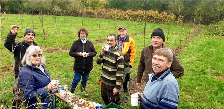 Die Grafschafter Obstwiesengruppe pflanzte einen Steinobstgarten. Foto: privat