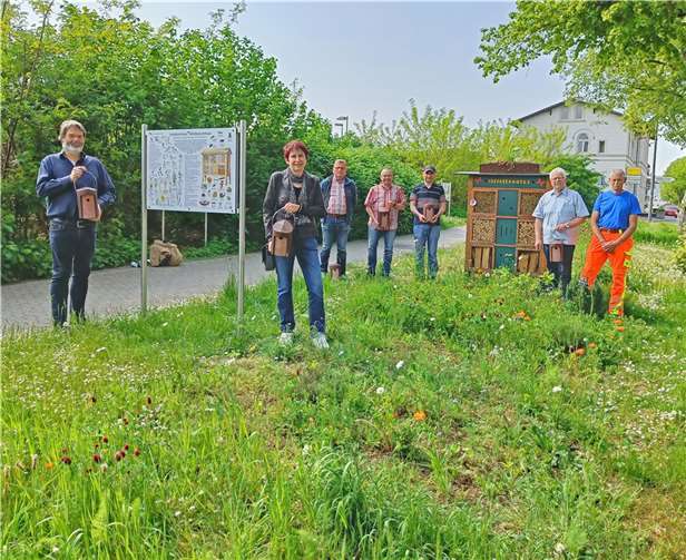 Die Grünfläche am Bahnhof bietet Platz und Schutz für Insekten, Vögel und andere Tiere. Gleichzeitig liefern Infotafeln wertvolle Informationen rund um den Naturschutz. Quelle: Kreis MYK