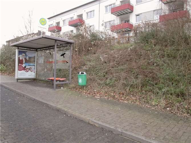 Die Grünflächen hinter der Endhaltestelle der Linie sechs sind seit Längerem pflegebedürftig.Gertrud Block