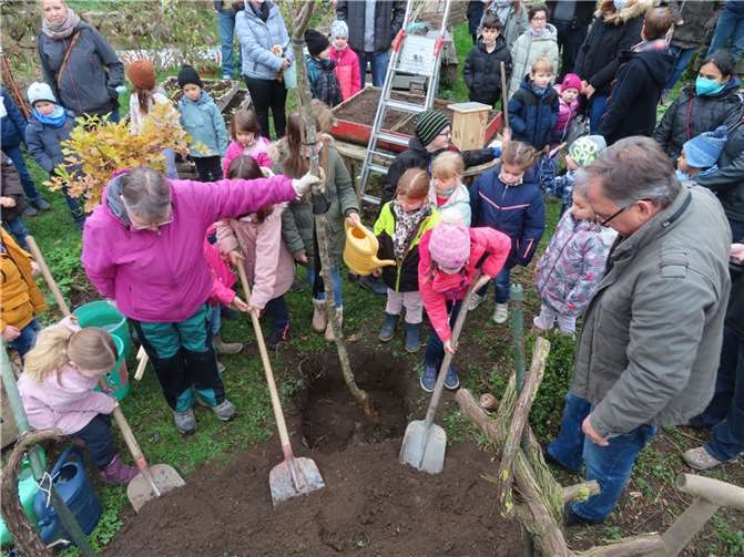 Die Grundschüler der Grund- und Ganztagsschule St. Martin wirkten eifrig bei der diesjährigen Baumpflanzaktion des Obst- und Gartenbauvereins mit.Fotos: privat
