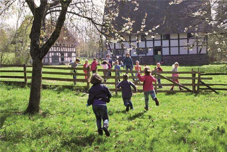 Die Grundschüler erkundeten die Streuobstwiese. privat