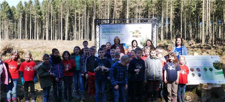 Die Grundschüler pflanzten Traubeneichen.