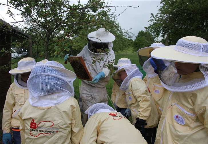 Die Grundschulkinder schauen Imker Michael Fuchs (Bildmitte) voller Neugier über die Schulter. Foto: privat