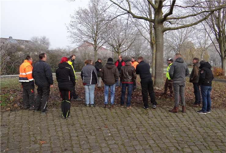 Die Gruppe bei der Besichtigung der Grünfläche am alten Bahnhof in Polch. Foto: privat