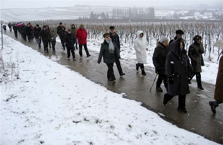 Die Gruppe bei der Wanderung durch die Schneelandschaft der Weinberge.  Privat