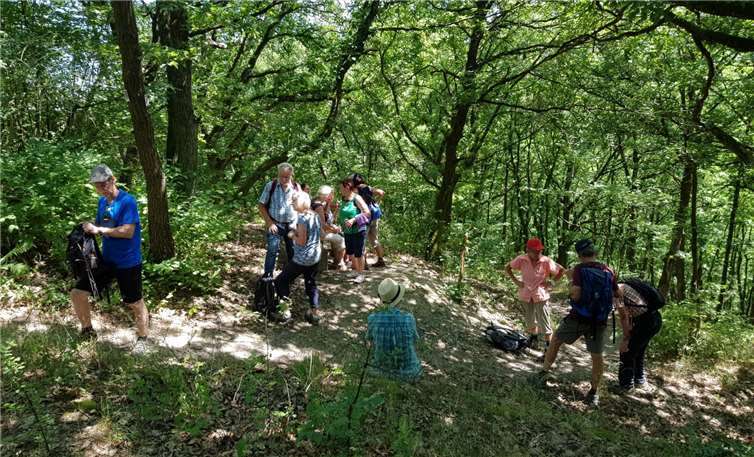 Die Gruppe der Metternicher AWO auf dem Rhein-Burgen-Weg.privat