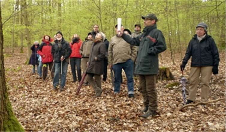 Die Gruppe folgt Axel Schneider durch das Naturwaldreservat.NABU/Schmitt