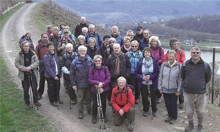 Die Gruppe hoch über der Mosel auf dem Weg nach Beilstein. privat