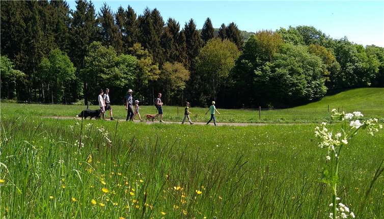 Die Gruppe wanderte über den Galaxienweg zur Martinshütte. privat