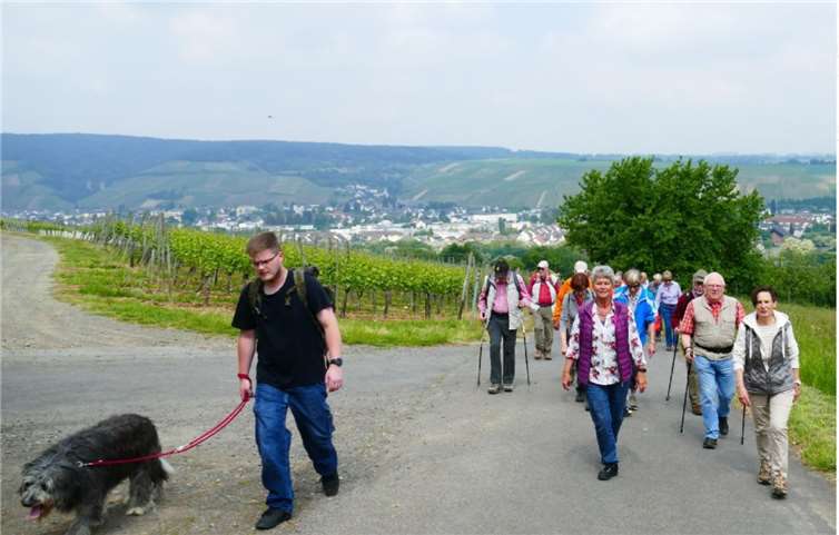 Die Gruppen waren bei idealem Wanderwetter unterwegs.privat
