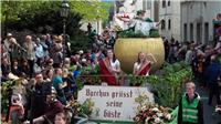 „Die Gülser Winzer, die das Blüten- und Weinfest mit dem besten Wein versorgen, ...