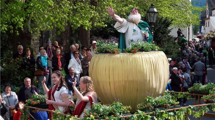 „Die Gülser Winzer, die das Blüten- und Weinfest mit dem besten Wein versorgen, ...