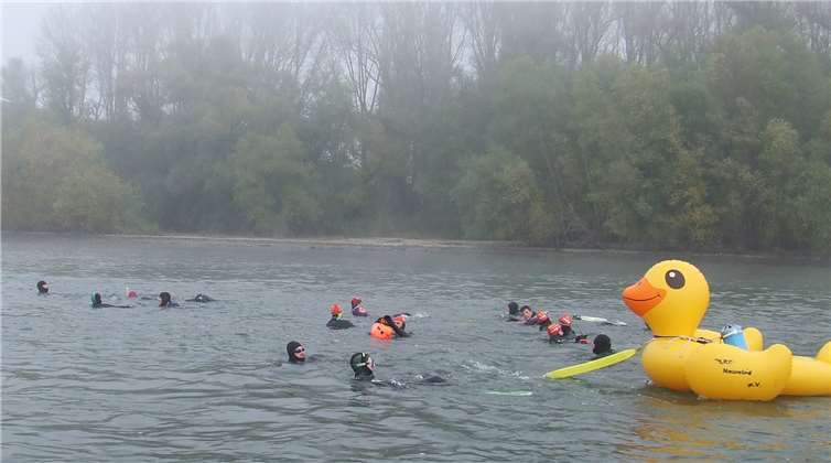 Die Gummiente schwamm als Maskottchen den ganzen Weg mit.