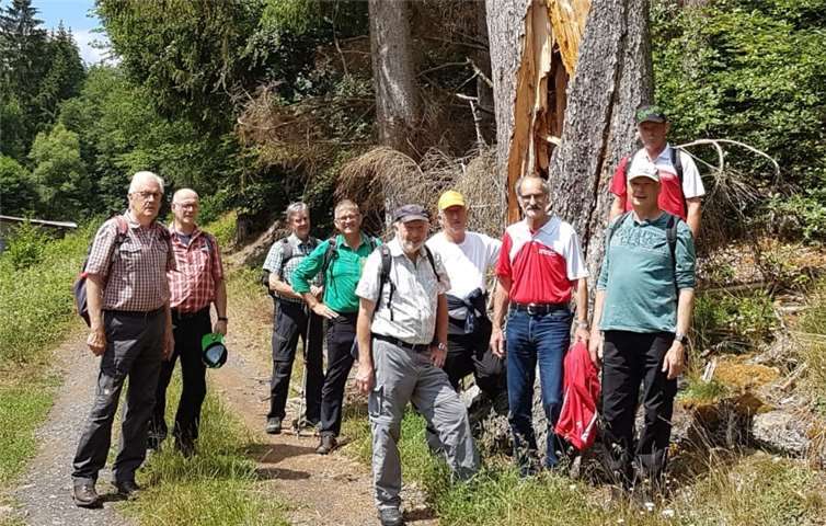 Die HSC-Senioren vor einem „verdrehtem Baum“ bei der Wanderung im Wiesbachtalweg von Weiler–Niederelz-Weiler. Foto: privat