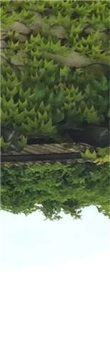 Die Hausener Schützenfamilie mit Maskottchen Moritz Neis.