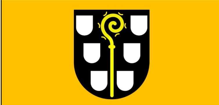 Die Heimerzheimer Fahne wird in zwei Größen angeboten.Foto: Privat