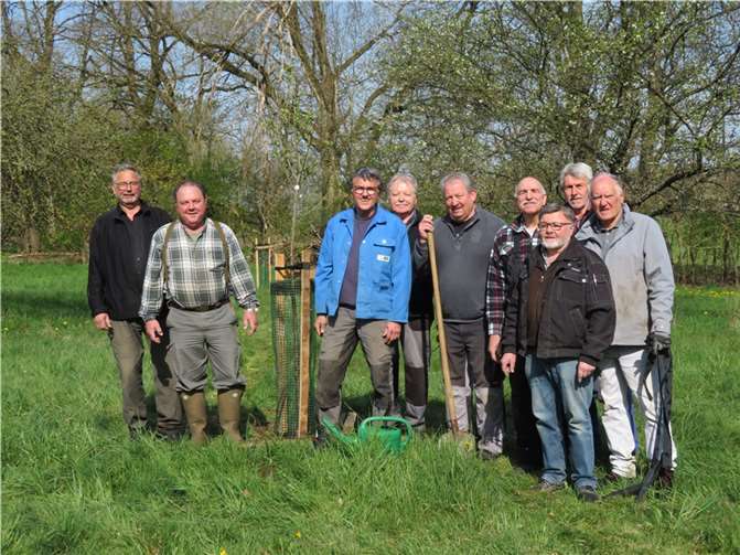 Die Helfer der Zukunftswerkstatt Marienrachdorf pflanzen neue Obstbäume auf der Streuobstwiese am „Kälberhütchen“ (auf dem Foto fehlt Rainer Kess). Foto: Zukunftswerkstatt Marienrachdorf