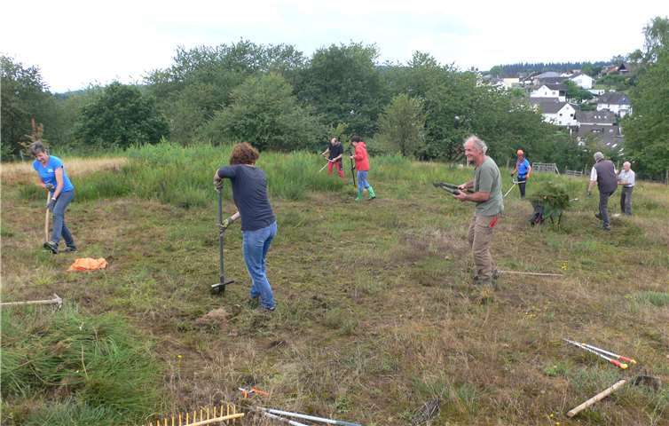 Die Helfer trugen zum Erhalt der Heide bei, indem sie das Verbuschen verhinderten.Foto: Petra Diederich