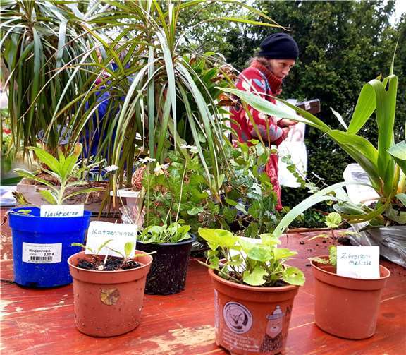 Die Herbstbörse ist schon verabredet.
