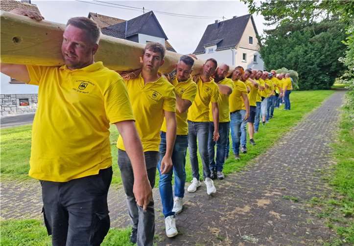 Die Herren der Kirmesgesellschaft 1951 Dierdorf trugen den Kirmesbaum bis zum Marktplatz.
