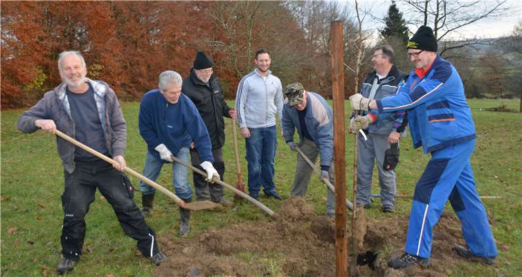 Die Herren des MSC Kempenich bei der Baumpflanzaktion im Baugebiet Am Sonnenhang. Foto: BE