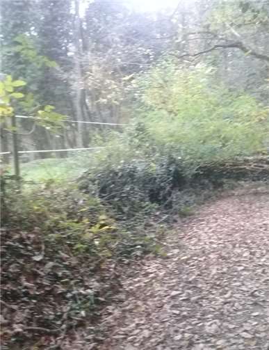 Die Hindernisse am Kappelweg sind beseitigt. Foto: privat