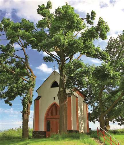 Die Hochkreuzkapelle am Hummerich wurde schon mehrfach von Vandalen heimgesucht. Dieter Krämer