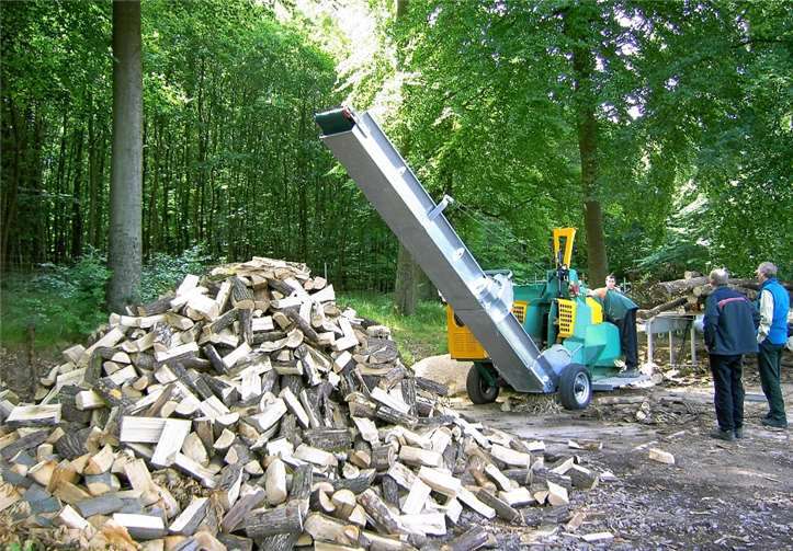 Die Holzlagerung, vor allem von Scheitholz, ist platzintensiv – auch das muss mit bedacht werden.  Landesforsten Rheinland-Pfalz