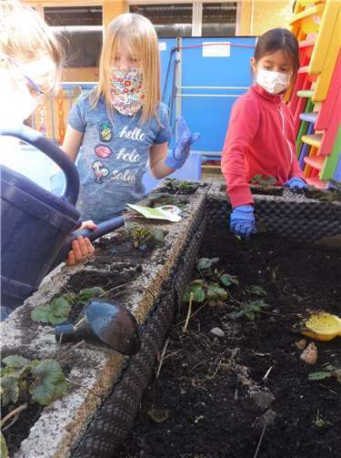 Die Hort-Gärtner bei der Arbeit am Hochbeet.