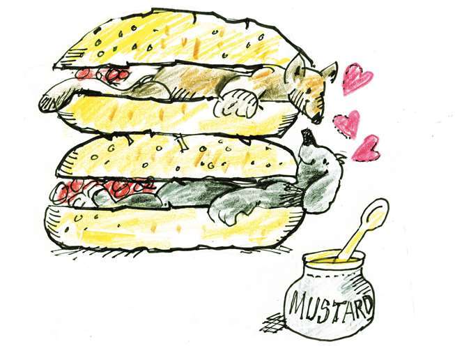 Die "Hot Dogs" sind im aktuellen Buch von Mike Grunzke "Da wird der Hund in der Pfanne verrückt" enthalten. Einer Sammlung voller bissiger und charmanter Hunde-Karikaturen, erhältlich im Buchhandel oder direkt bei www.mikes-karikaturen.de. Der erfolgreiche Karikaturist aus Linz am Rhein arbeitet bereits an seinem Nachfolgewerk "Absurde Bürokratie".Quelle: Mike Grunzke
