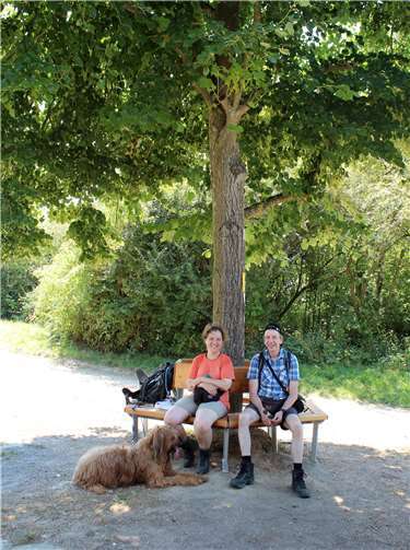Die Hütte ist noch nicht bewirtschaftet. Aber auf der Bank, die die rüstigen Rentner gezimmert und die Volksbank Sinzig gesponsert hat, rasten gerne Wanderer.