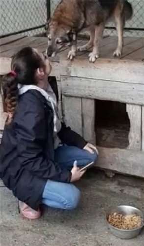 Die Hunde geben so viel Liebe und Dankbarkeit zurück.