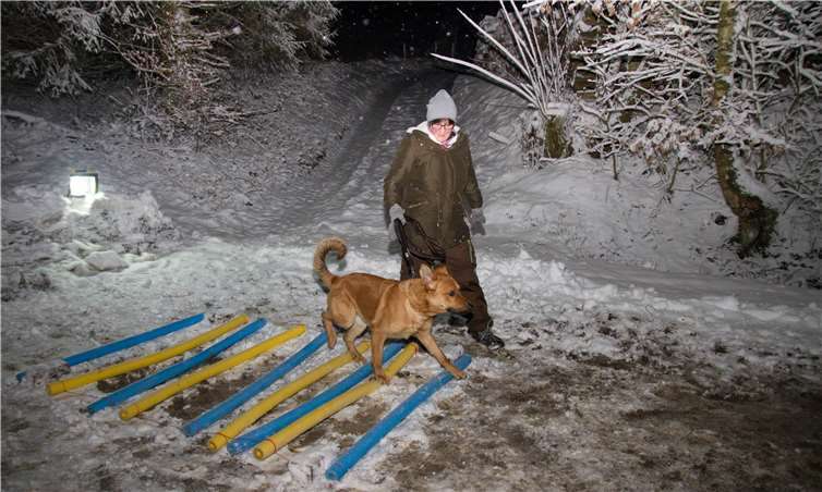 Die Hunde mussten mit ihren Frauchen und Herrchen einen Parcours absolvieren.Sylvia Fink