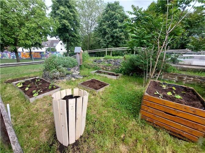 Die Idee der „Essbaren Stadt“ erstreckt sich jetzt auch auf die Grünflächen, Gärten und Höfe der Kindertagesstätten und Schulen in Andernach und den Stadtteilen. Fotos: Stadt Andernach/ Lara Lindermann