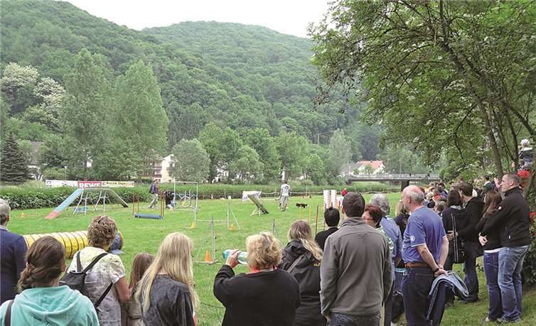 Die Idee von Aki Hertling und Petra Nassen aus dem Vorstand des Gewerbeverbandes für ein Hundefestival war ein voller Erfolg: Viele Interessierte kamen nach Waldbreitbach, um sich auf vielfältige Weise zu informieren.  JFR