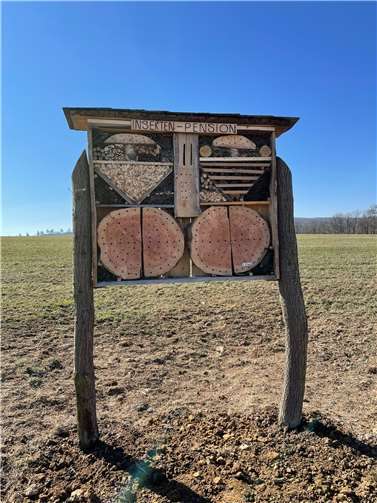 Die Insektenpension. Foto: privat