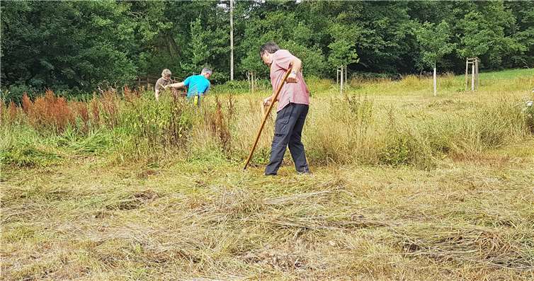 Die Integrierte Umweltberatung des Landkreises Mayen-Koblenz führte einen Ssensenkurs in Monreal durch.Fotos: Kreisverwaltung MYK