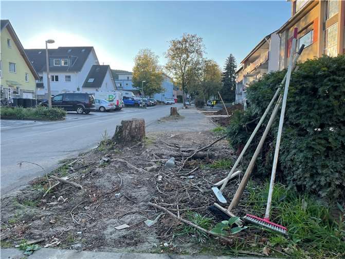 Die Josef-Hardt-Allee in Bad Bodendorf.
