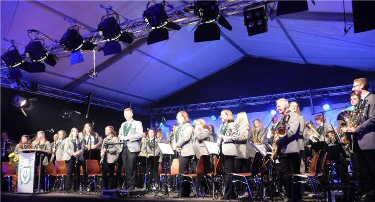 Die Jubilare vom Musikverein Holler.Fotos: WR