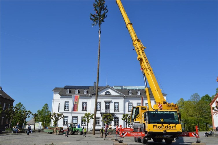 Die Jusseps-Jonge bereiteten den prächtigen Maibaum vor und per Kran wurde das Prachtstück dann Stück für Stück in die Vertikale verbracht.