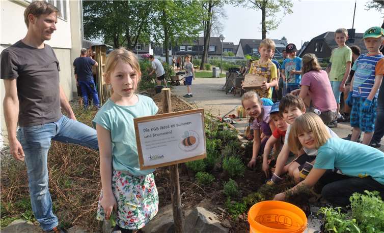 Die KGS Altendorf lässt es summen und brummen. Schulvater Jörg Planer leitet die Kinder beim Pflanzen an.