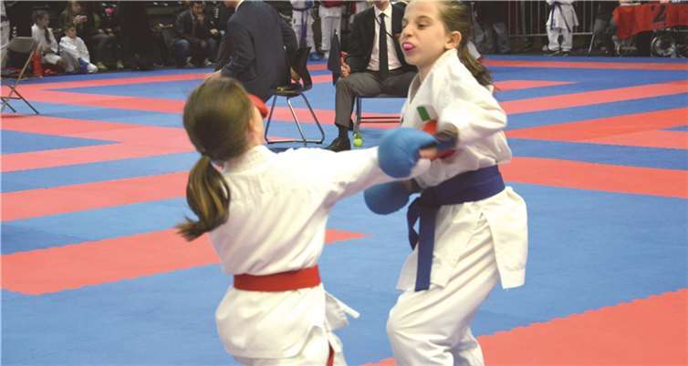 Die KSC-Kämpferinnen und -Kämpfer waren beim Top Fighter Cup Turnier sehr erfolgreich.privat