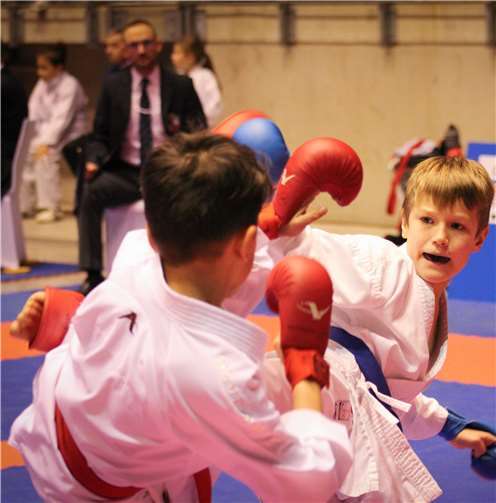 Die Kampfrichter im Hintergrund hatten die Kämpfe fest im Blick.