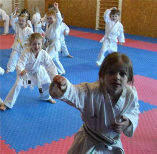 Die Karate Minis beim Training im KSC. privat
